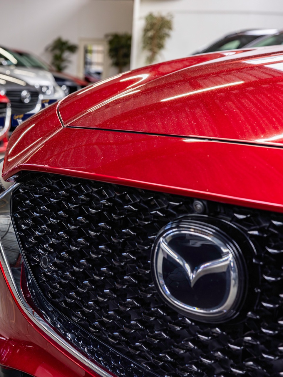 Banner banner_images_1_17748681511756527873.jpg Over ons | Garage Verburg